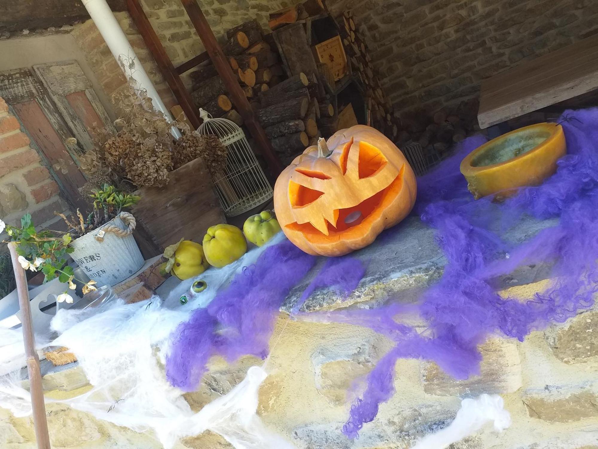 Le Terre Di Caprano Hotel Citta di Castello Bagian luar foto