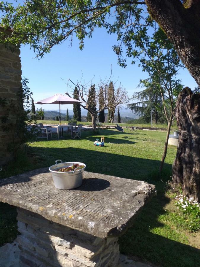 Le Terre Di Caprano Hotel Citta di Castello Bagian luar foto