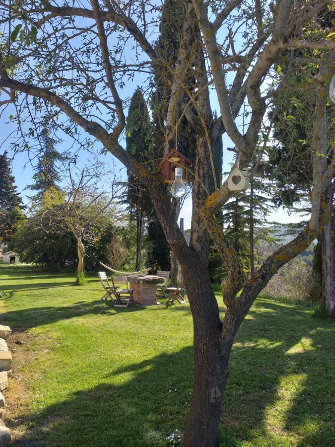 Le Terre Di Caprano Hotel Citta di Castello Bagian luar foto